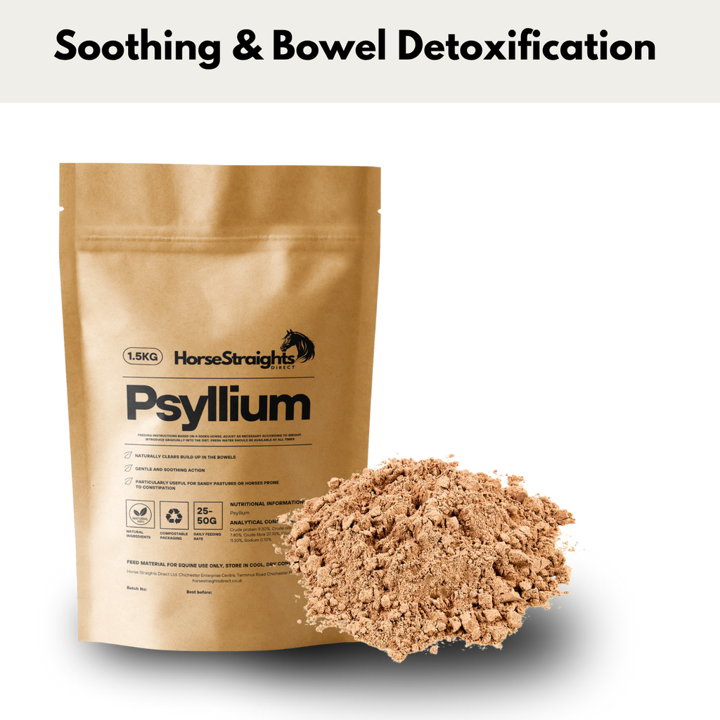 Psyllium for Horses | Digestive Fibre - Wellbeing Pets