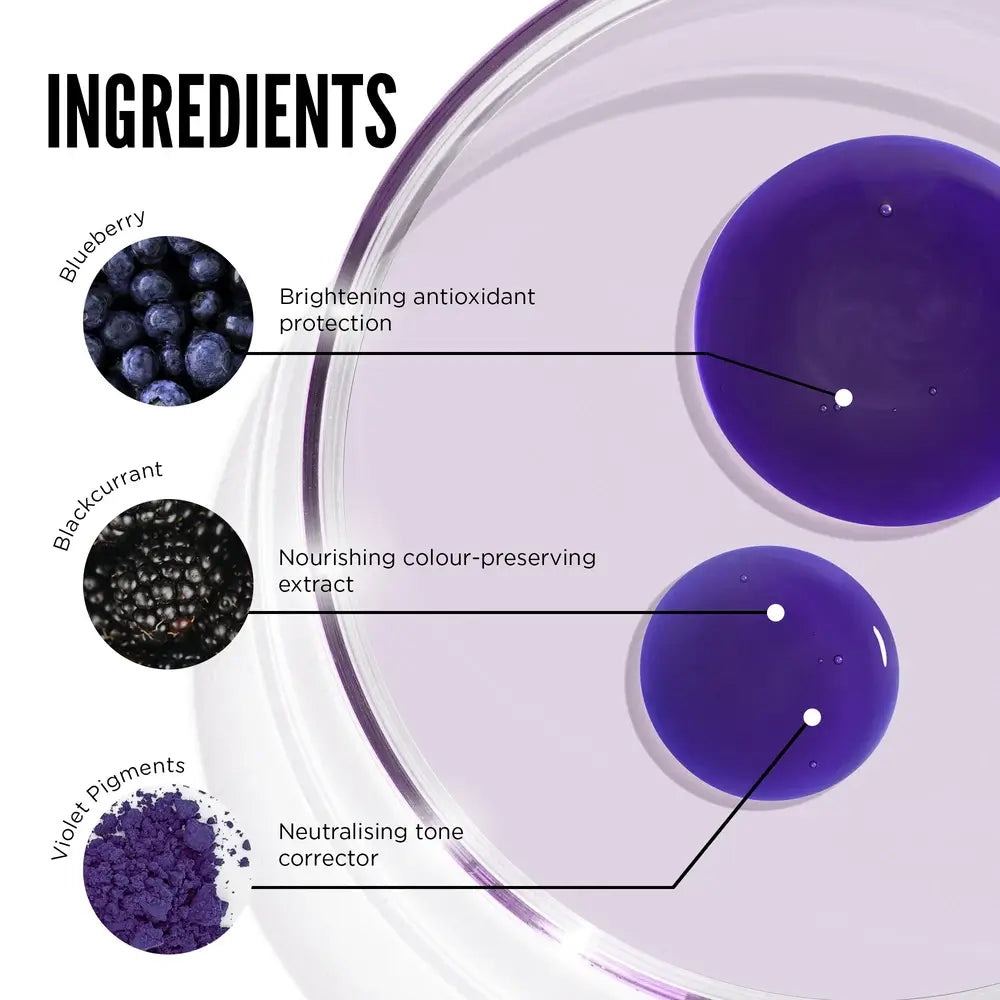 Purple Reign Tone Correcting Shampoo