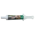 Global Herbs Relax Paste for Dogs | 30ml - Wellbeing Pets