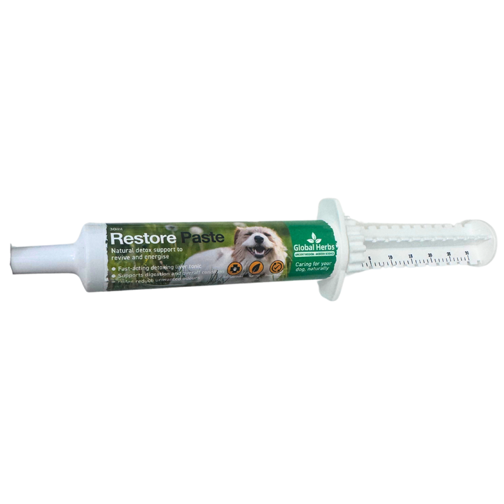 Global Herbs Restore Paste for Dogs | 30ml