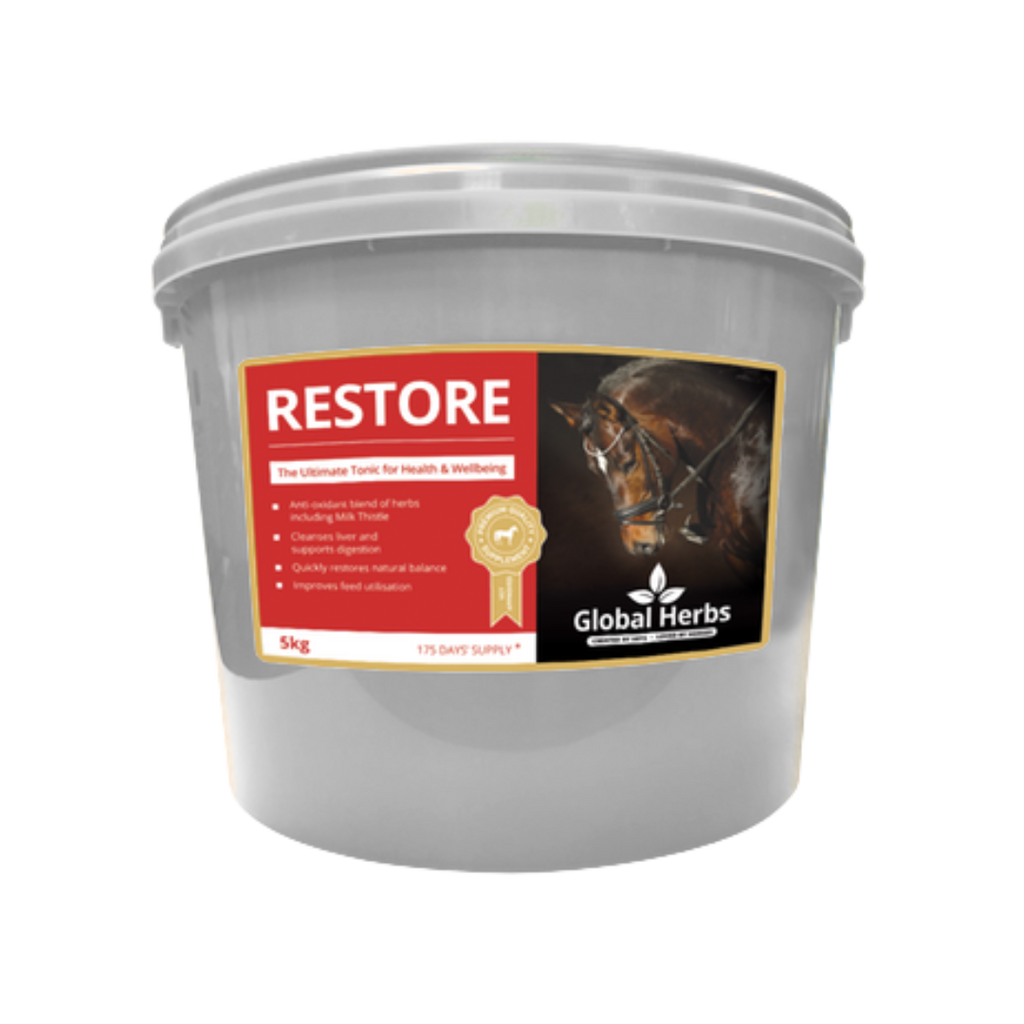 Restore - Global Herbs - product image - Wellbeing Pets