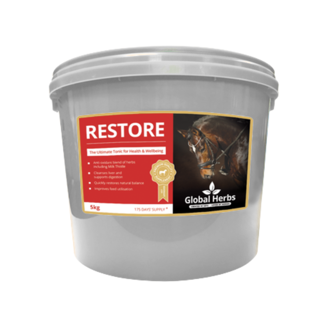 Restore - Global Herbs - product image - Wellbeing Pets