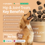 Hip & Joint Treats for Dogs by Pupps – image 2
