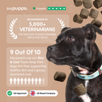 Skin & Coat Treats for Dogs by Pupps – image 7