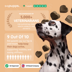 Hip & Joint Treats for Dogs by Pupps – image 8