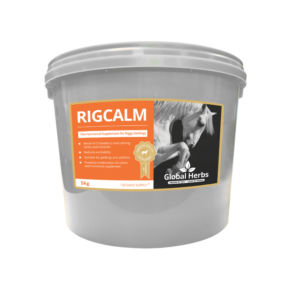 Global Herbs RigCalm for Horses - image 3 - Wellbeing Pets
