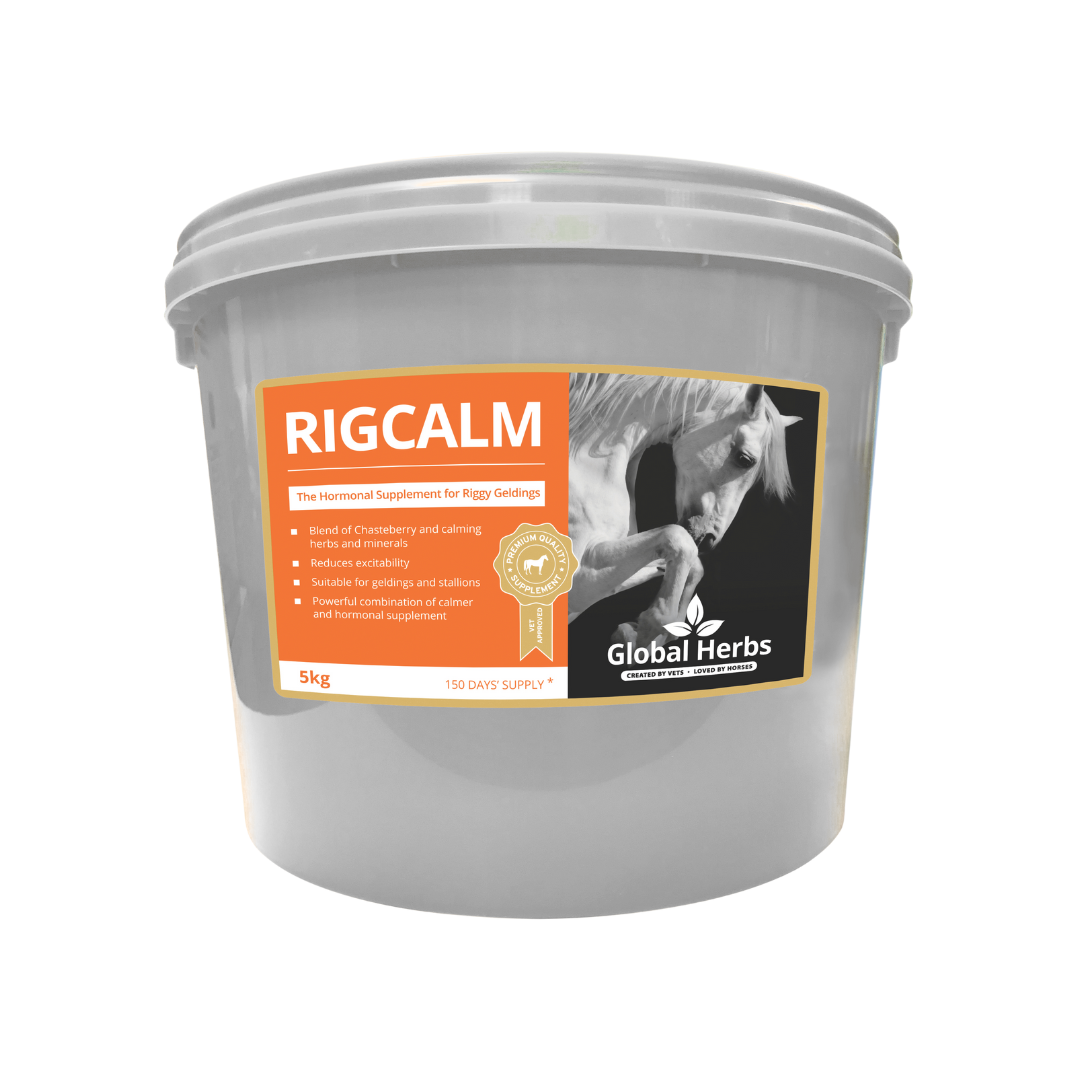 Global Herbs RigCalm for Horses - image 3 - Wellbeing Pets