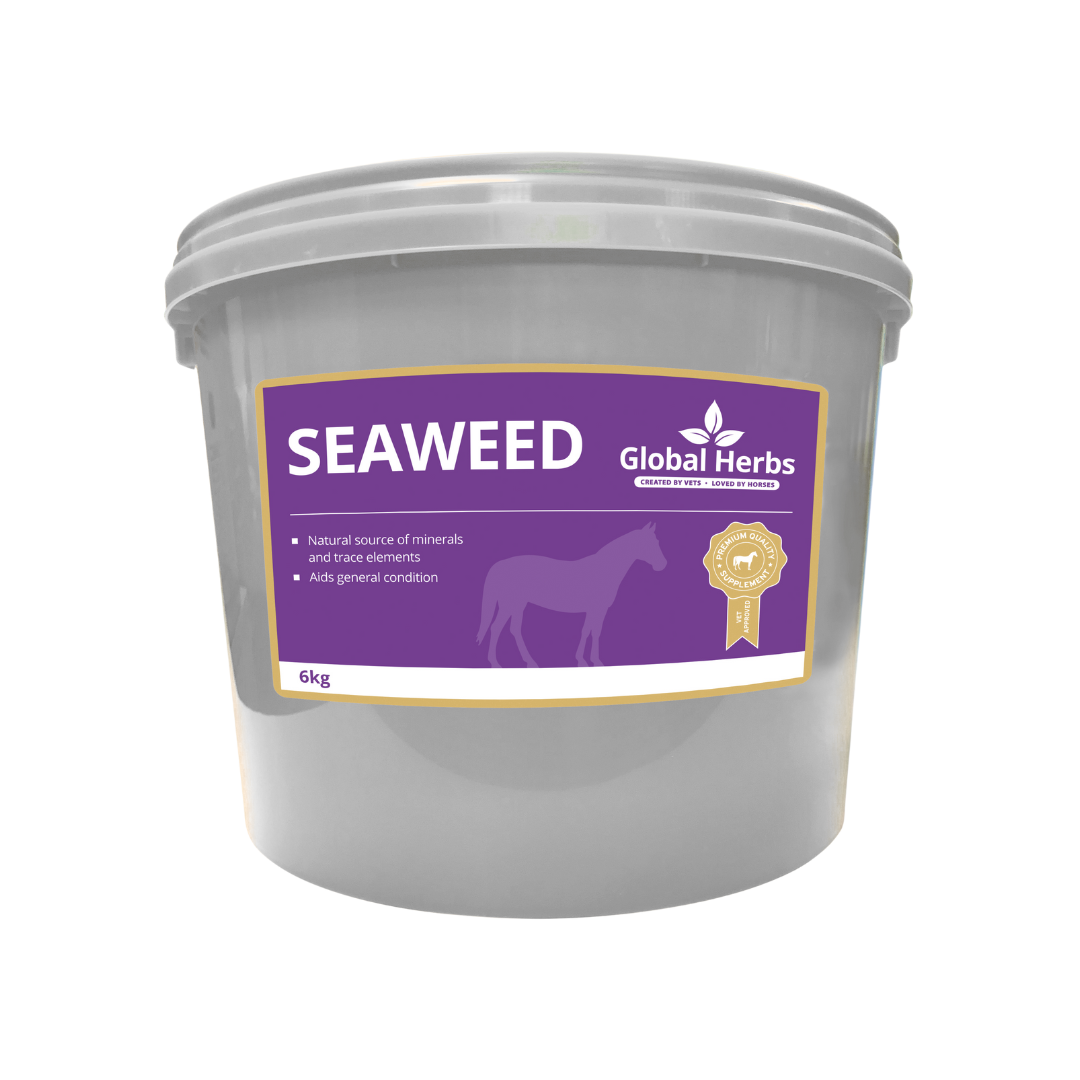 Global Herbs Seaweed for Horses - image 3 - Wellbeing Pets