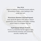 Shampoo for Oily Scalp & Roots