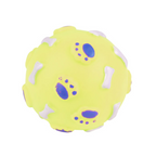 Squeaky Dog Ball