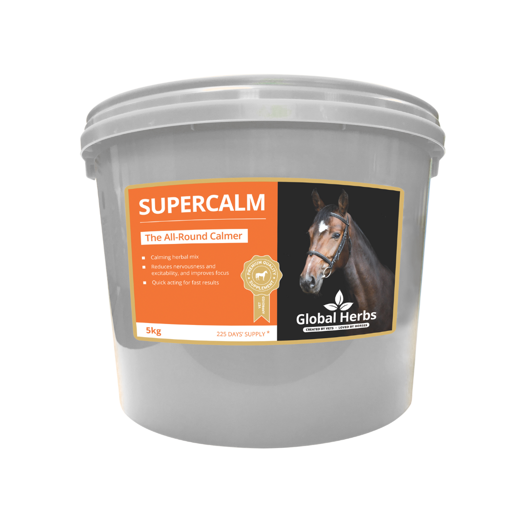 Global Herbs SuperCalm for Horses - image 4 - Wellbeing Pets