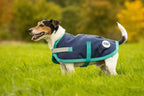 Classic Waterproof Dog Coat 150g - Navy - image 4 - Wellbeing Pets
