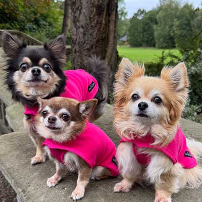Tiny Toastie Water-Repellent Fleece Dog Coat - Hot Pink - image 2 - Wellbeing Pets