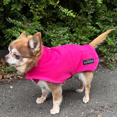 Tiny Toastie Water-Repellent Fleece Dog Coat - Hot Pink - image 6 - Wellbeing Pets