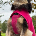 Tiny Toastie Water-Repellent Fleece Dog Coat - Hot Pink - image 13 - Wellbeing Pets