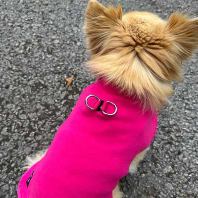 Tiny Toastie Water-Repellent Fleece Dog Coat - Hot Pink - image 19 - Wellbeing Pets