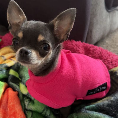Tiny Toastie Water-Repellent Fleece Dog Coat - Hot Pink - image 5 - Wellbeing Pets