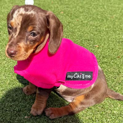 Tiny Toastie Water-Repellent Fleece Dog Coat - Hot Pink - image 8 - Wellbeing Pets