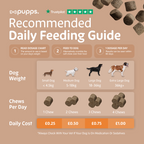 Skin & Coat Treats for Dogs by Pupps – image 8