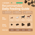 Hip & Joint Treats for Dogs by Pupps – image 4