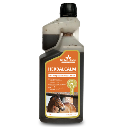 Global Herbs Herbal Calm Liquid for Horses - Wellbeing Pets