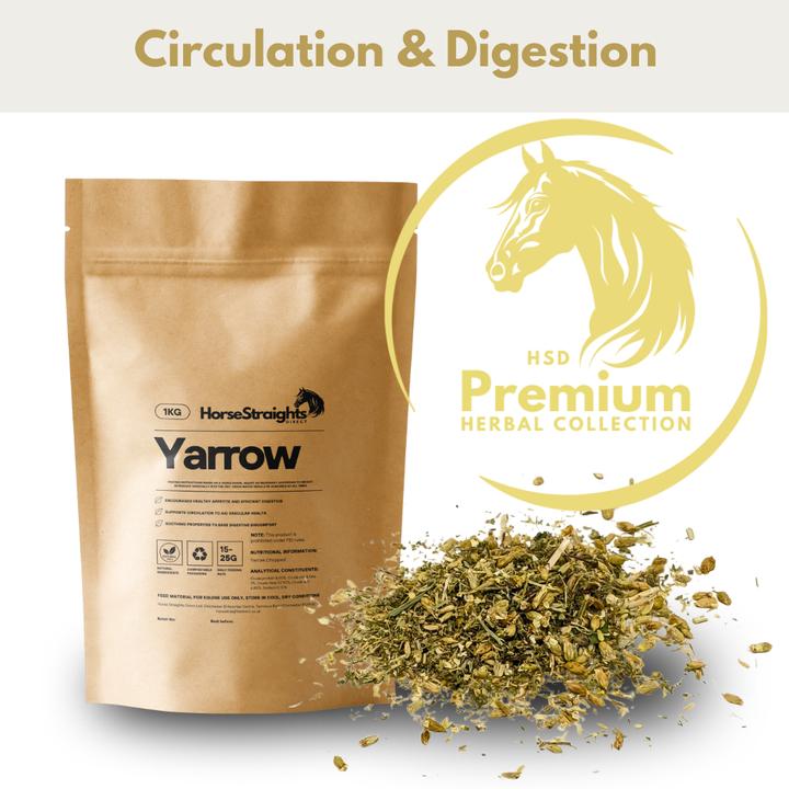 Yarrow for Horses