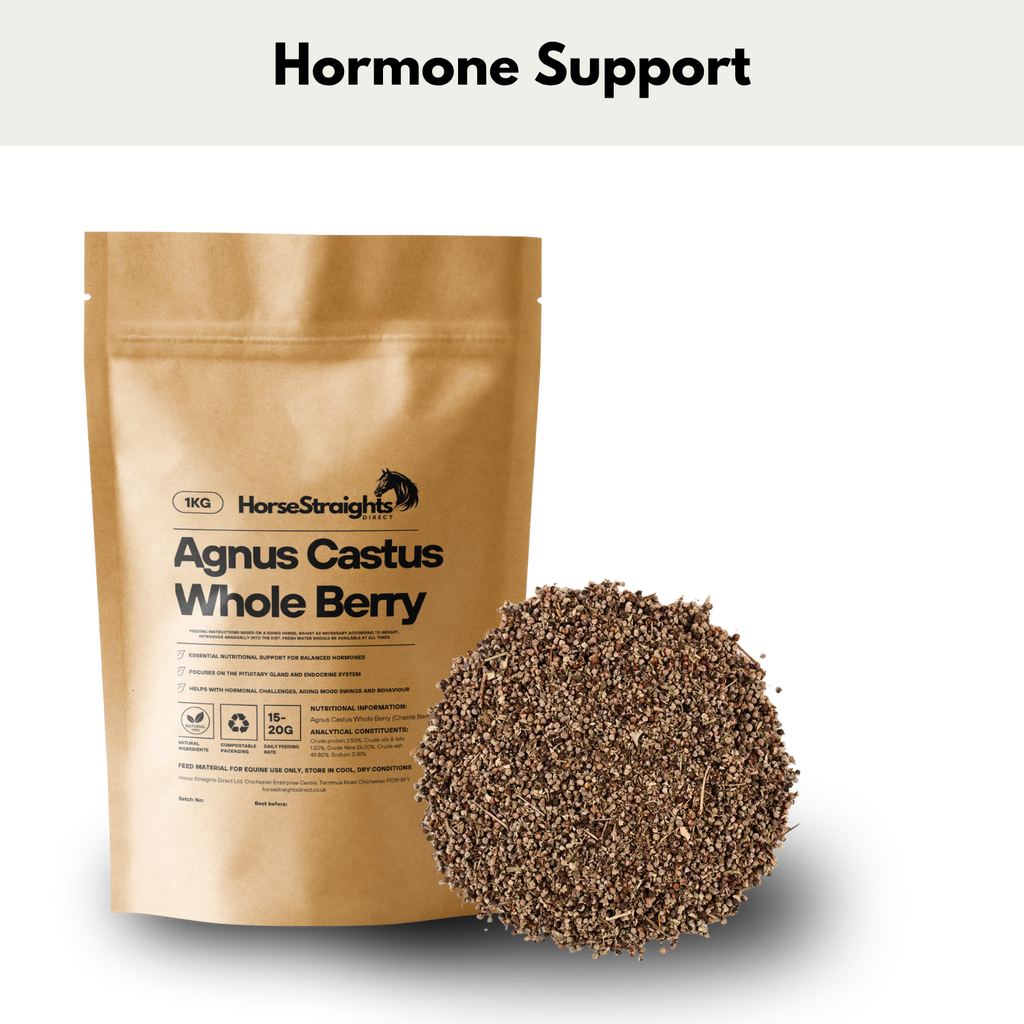 Agnus Castus for Horses | Whole Chaste Tree Berry - Wellbeing Pets