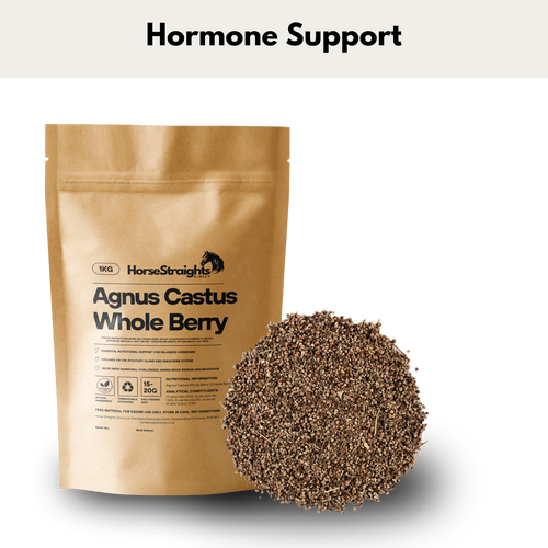 Agnus Castus for Horses | Whole Chaste Tree Berry - Wellbeing Pets