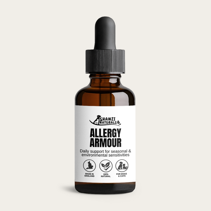 Allergy Armour Tincture for Dogs & Cats
