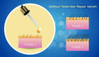 Botanical Hair & Scalp Oil for Thinning-Looking Hair 50ml | Ammuri