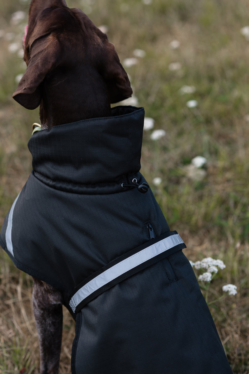 Luxe Waterproof Dog Coat 0g - Black - image 3 - Wellbeing Pets