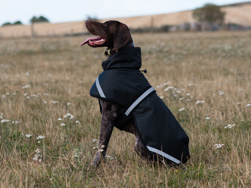 Luxe Waterproof Dog Coat 0g - Black - image 5 - Wellbeing Pets