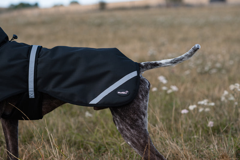 Luxe Waterproof Dog Coat 250g - Black - image 4 - Wellbeing Pets