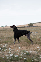 Wide Fit Fleece Dog Jumper - Black - image 5 - Wellbeing Pets