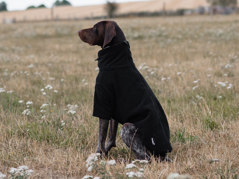 Wide Fit Fleece Dog Jumper - Black - image 3 - Wellbeing Pets