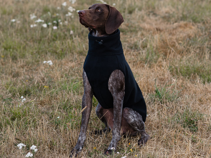 Fleece Dog Coat - Black - image 3 - Wellbeing Pets