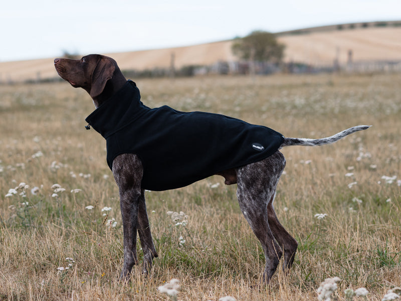 Fleece Dog Coat - Black - Wellbeing Pets