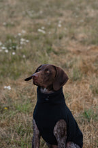 Fleece Dog Coat - Black - image 5 - Wellbeing Pets