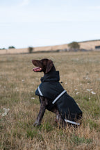 Luxe Waterproof Dog Coat 250g - Black - image 5 - Wellbeing Pets