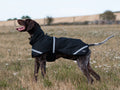 Luxe Waterproof Dog Coat 250g - Black - Wellbeing Pets