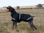 Luxe Waterproof Dog Coat 250g - Black - Wellbeing Pets