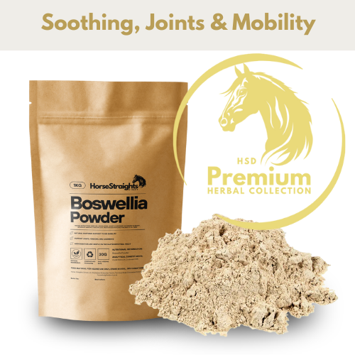 Boswellia Powder for Horses - Wellbeing Pets