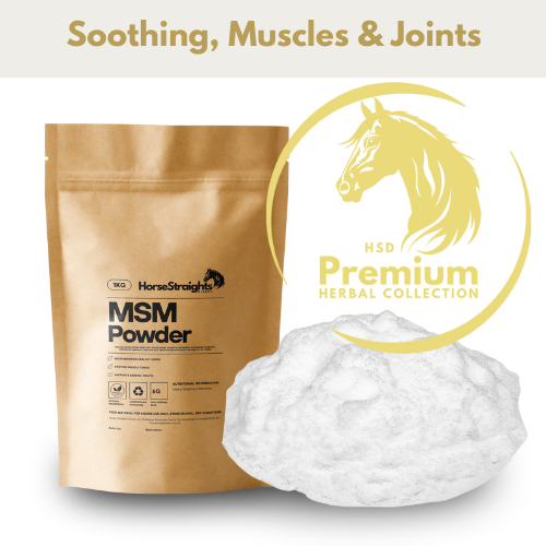 MSM for Horses | Equine Joint Supplement - Wellbeing Pets