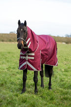200G Detachable Neck Turnout Rug - Burgundy - image 2 - Wellbeing Pets