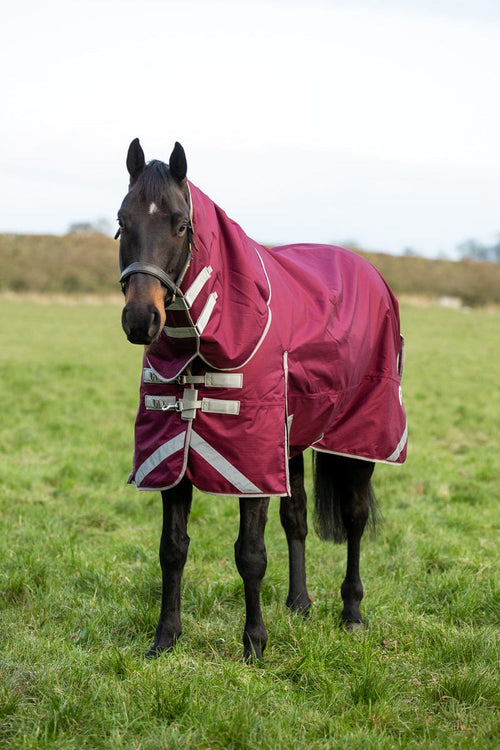 200G Detachable Neck Turnout Rug - Burgundy - image 2 - Wellbeing Pets