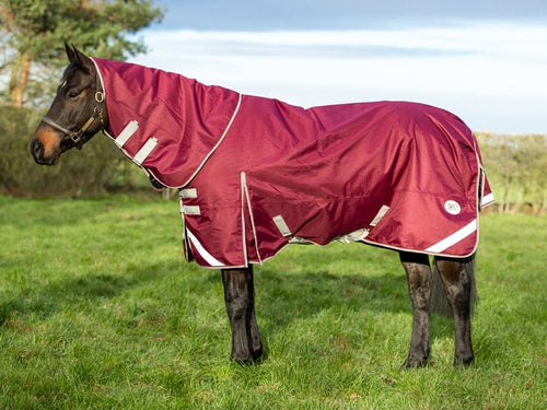 200G Detachable Neck Turnout Rug - Burgundy - Wellbeing Pets