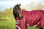 200G Detachable Neck Turnout Rug - Burgundy - image 6 - Wellbeing Pets