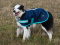 Classic Waterproof Dog Coat 250g - Navy - Wellbeing Pets