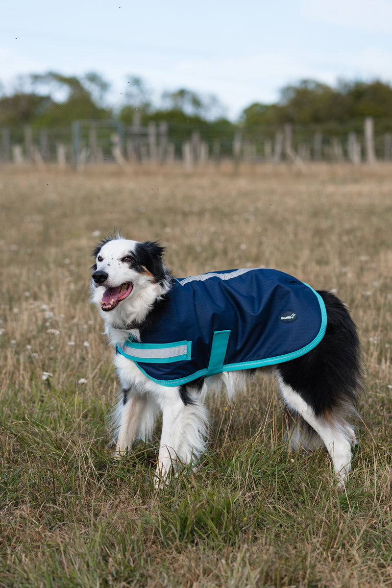 Classic Waterproof Dog Coat 150g - Navy - image 5 - Wellbeing Pets