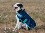 Classic Waterproof Dog Coat 150g - Navy - image 3 - Wellbeing Pets